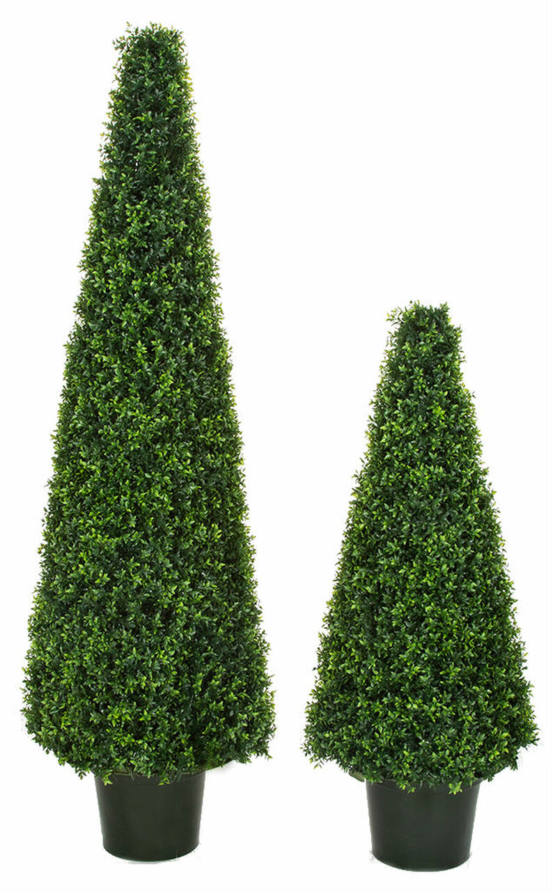 Outdoor 4 foot Cone Boxwood Topiary